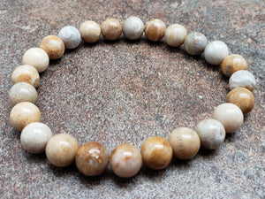 8mm Fossilized Coral Jasper Bracelet, 7 inch