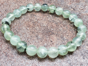 Count of 5 Prehnite Bracelets, 7 inch