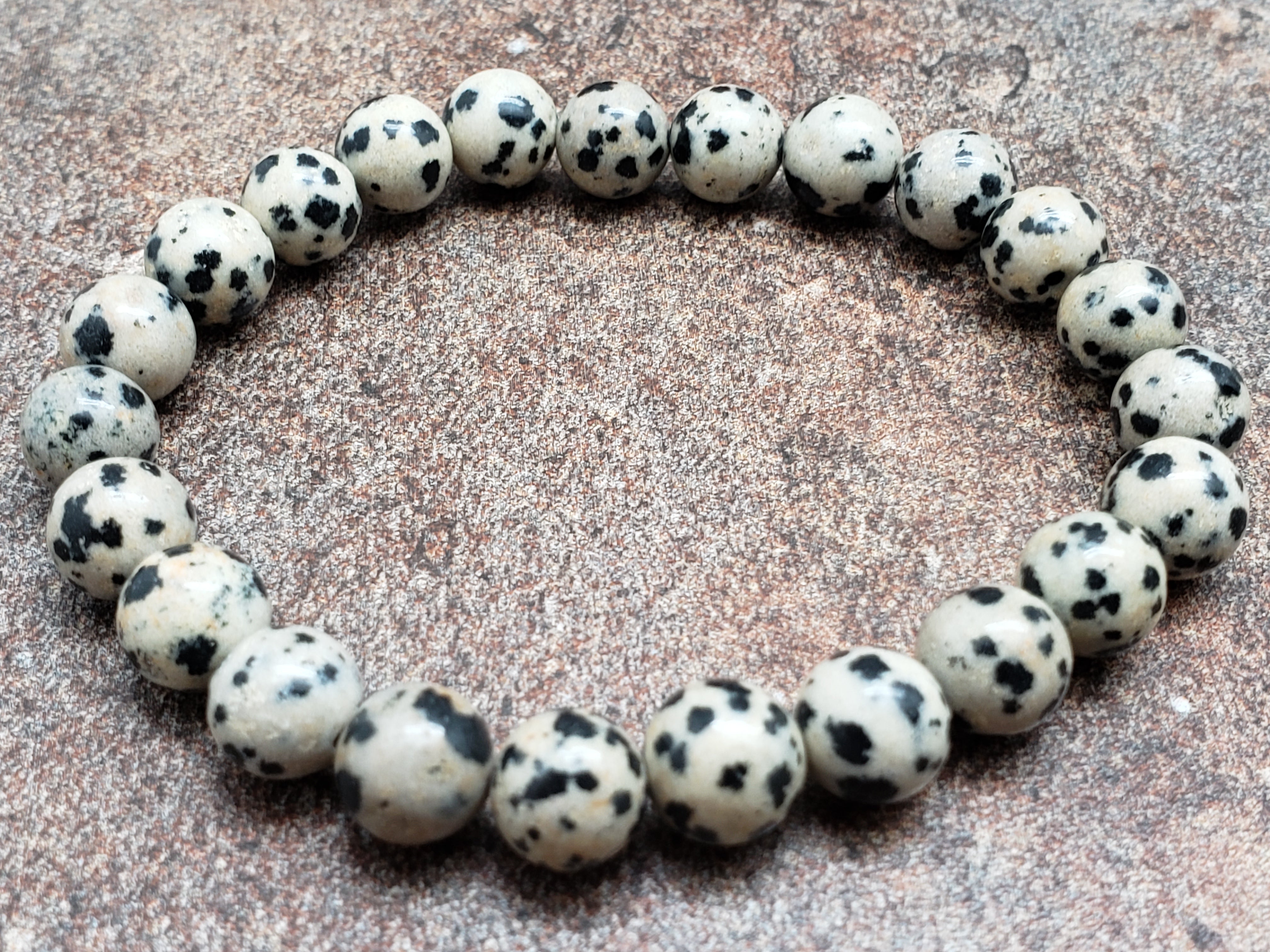 Count of 5 Dalmatian Jasper Bracelets, 7 inch