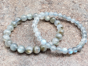 Count of 5 Labradorite Bracelets, A Grade, 7 inch